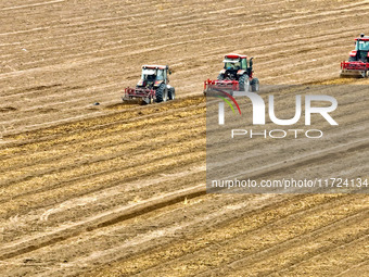 Farmers drive machinery to harvest yellow ginseng in a field in Zhangye, China, on October 30, 2024. (