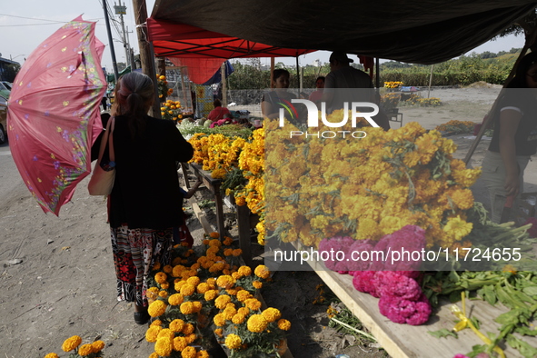 The sale of Cempasuchil flowers takes place in the Tlahuac municipality in Mexico City, Mexico, on October 30, 2024, for the Day of the Dead...