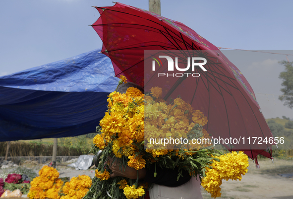 People attend a store to buy Cempasuchil flowers in the Tlahuac municipality in Mexico City, Mexico, on October 30, 2024, for the Day of the...