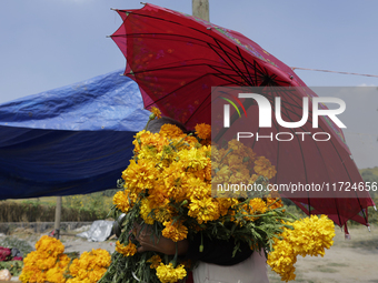 People attend a store to buy Cempasuchil flowers in the Tlahuac municipality in Mexico City, Mexico, on October 30, 2024, for the Day of the...