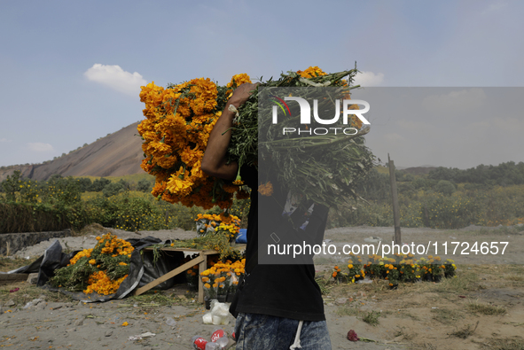 A person carries Cempasuchil flowers in the Tlahuac municipality in Mexico City, Mexico, on October 30, 2024, for sale on the occasion of th...