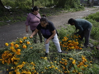 People attend a store to buy Cempasuchil flowers in the Tlahuac municipality in Mexico City, Mexico, on October 30, 2024, for the Day of the...