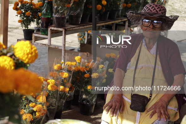 Women sell Cempasuchil flowers in the Tlahuac municipality in Mexico City, Mexico, on October 30, 2024, for the Day of the Dead on November...