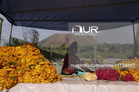 Women sell Cempasuchil flowers in the Tlahuac municipality in Mexico City, Mexico, on October 30, 2024, for the Day of the Dead on November...