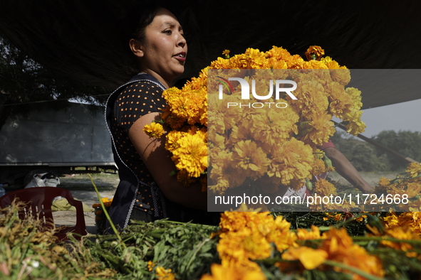 Women sell Cempasuchil flowers in the Tlahuac municipality in Mexico City, Mexico, on October 30, 2024, for the Day of the Dead on November...