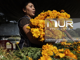 Women sell Cempasuchil flowers in the Tlahuac municipality in Mexico City, Mexico, on October 30, 2024, for the Day of the Dead on November...