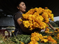 Women sell Cempasuchil flowers in the Tlahuac municipality in Mexico City, Mexico, on October 30, 2024, for the Day of the Dead on November...