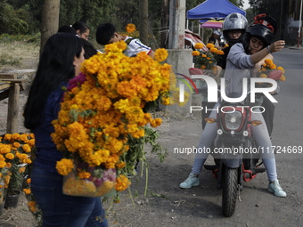 People attend a store to buy Cempasuchil flowers in the Tlahuac municipality in Mexico City, Mexico, on October 30, 2024, for the Day of the...