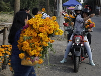 People attend a store to buy Cempasuchil flowers in the Tlahuac municipality in Mexico City, Mexico, on October 30, 2024, for the Day of the...