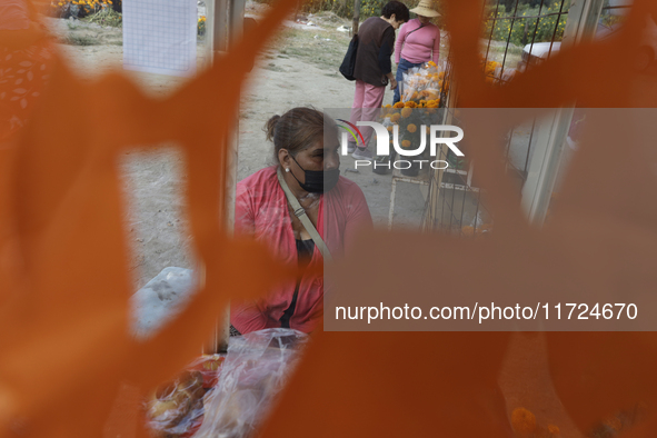 Women sell Cempasuchil flowers in the Tlahuac municipality in Mexico City, Mexico, on October 30, 2024, for the Day of the Dead on November...