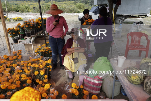 Women sell Cempasuchil flowers in the Tlahuac municipality in Mexico City, Mexico, on October 30, 2024, for the Day of the Dead on November...