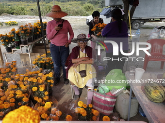 Women sell Cempasuchil flowers in the Tlahuac municipality in Mexico City, Mexico, on October 30, 2024, for the Day of the Dead on November...