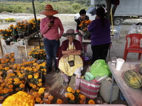 Women sell Cempasuchil flowers in the Tlahuac municipality in Mexico City, Mexico, on October 30, 2024, for the Day of the Dead on November...