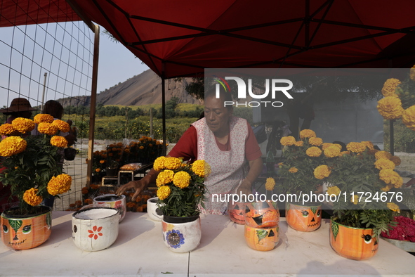 Women sell Cempasuchil flowers in the Tlahuac municipality in Mexico City, Mexico, on October 30, 2024, for the Day of the Dead on November...