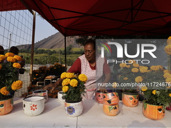 Women sell Cempasuchil flowers in the Tlahuac municipality in Mexico City, Mexico, on October 30, 2024, for the Day of the Dead on November...