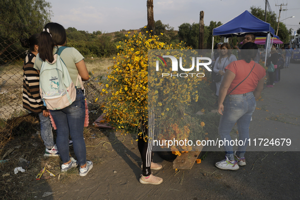 People attend a store to buy Cempasuchil flowers in the Tlahuac municipality in Mexico City, Mexico, on October 30, 2024, for the Day of the...