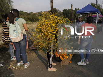 People attend a store to buy Cempasuchil flowers in the Tlahuac municipality in Mexico City, Mexico, on October 30, 2024, for the Day of the...