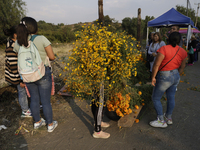 People attend a store to buy Cempasuchil flowers in the Tlahuac municipality in Mexico City, Mexico, on October 30, 2024, for the Day of the...