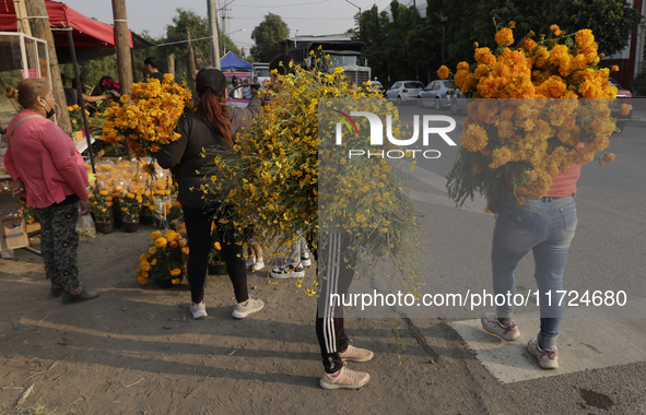 People attend a store to buy Cempasuchil flowers in the Tlahuac municipality in Mexico City, Mexico, on October 30, 2024, for the Day of the...