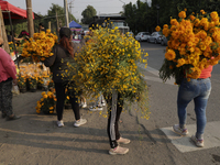 People attend a store to buy Cempasuchil flowers in the Tlahuac municipality in Mexico City, Mexico, on October 30, 2024, for the Day of the...