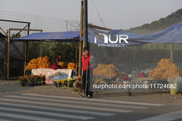 The sale of Cempasuchil flowers takes place in the Tlahuac municipality in Mexico City, Mexico, on October 30, 2024, for the Day of the Dead...