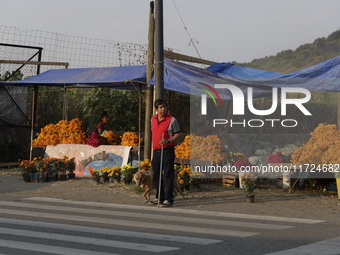 The sale of Cempasuchil flowers takes place in the Tlahuac municipality in Mexico City, Mexico, on October 30, 2024, for the Day of the Dead...