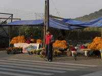 The sale of Cempasuchil flowers takes place in the Tlahuac municipality in Mexico City, Mexico, on October 30, 2024, for the Day of the Dead...