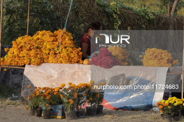 Women sell Cempasuchil flowers in the Tlahuac municipality in Mexico City, Mexico, on October 30, 2024, for the Day of the Dead on November...