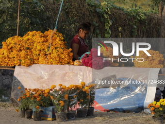 Women sell Cempasuchil flowers in the Tlahuac municipality in Mexico City, Mexico, on October 30, 2024, for the Day of the Dead on November...