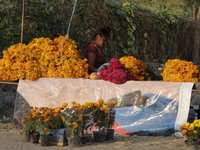 Women sell Cempasuchil flowers in the Tlahuac municipality in Mexico City, Mexico, on October 30, 2024, for the Day of the Dead on November...