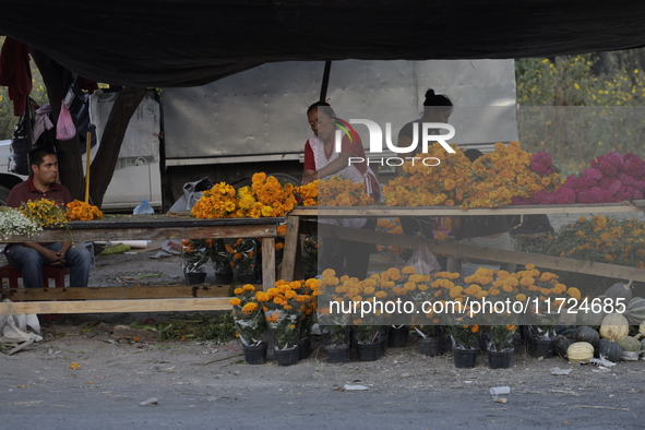 The sale of Cempasuchil flowers takes place in the Tlahuac municipality in Mexico City, Mexico, on October 30, 2024, for the Day of the Dead...