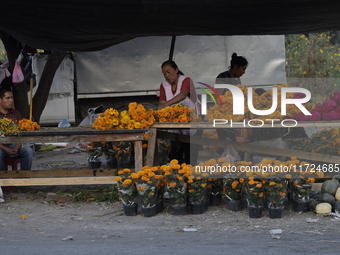 The sale of Cempasuchil flowers takes place in the Tlahuac municipality in Mexico City, Mexico, on October 30, 2024, for the Day of the Dead...