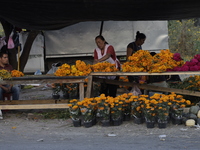 The sale of Cempasuchil flowers takes place in the Tlahuac municipality in Mexico City, Mexico, on October 30, 2024, for the Day of the Dead...