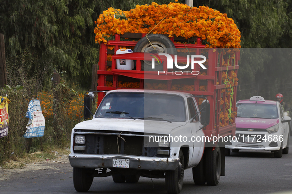 People attend a store to buy Cempasuchil flowers in the Tlahuac municipality in Mexico City, Mexico, on October 30, 2024, for the Day of the...