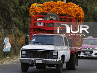 People attend a store to buy Cempasuchil flowers in the Tlahuac municipality in Mexico City, Mexico, on October 30, 2024, for the Day of the...