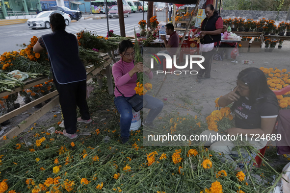 Women sell Cempasuchil flowers in the Tlahuac municipality in Mexico City, Mexico, on October 30, 2024, for the Day of the Dead on November...