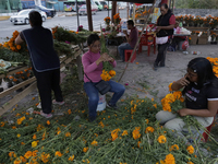 Women sell Cempasuchil flowers in the Tlahuac municipality in Mexico City, Mexico, on October 30, 2024, for the Day of the Dead on November...