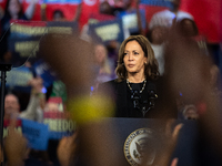 Vice President Kamala Harris speaks at a get out the vote rally in Harrisburg, PA, on October 30, 2024.  Harris and her running mate, Minnes...