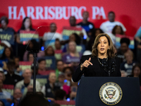 Vice President Kamala Harris speaks at a get out the vote rally in Harrisburg, PA, on October 30, 2024.  Harris and her running mate, Minnes...