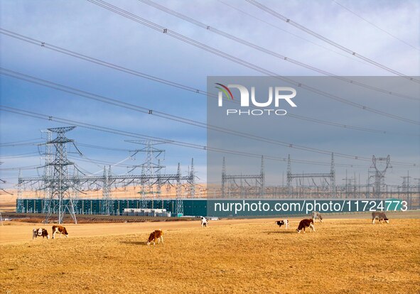 An aerial photo shows the Zhangbei-Shengli 1000kV UHV AC project of Shengli Substation in Xilingol League, Inner Mongolia, China, on October...