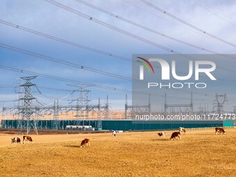 An aerial photo shows the Zhangbei-Shengli 1000kV UHV AC project of Shengli Substation in Xilingol League, Inner Mongolia, China, on October...