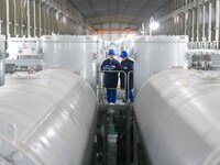 Operation and maintenance personnel check transmission equipment at the Shengli Substation of the Zhangbei-Shengli 1000kV UHV AC project in...