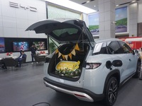 Customers buy a BYD electric car at a BYD store in Hangzhou, China, on October 31, 2024. (