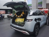 Customers buy a BYD electric car at a BYD store in Hangzhou, China, on October 31, 2024. (