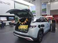 Customers buy a BYD electric car at a BYD store in Hangzhou, China, on October 31, 2024. (