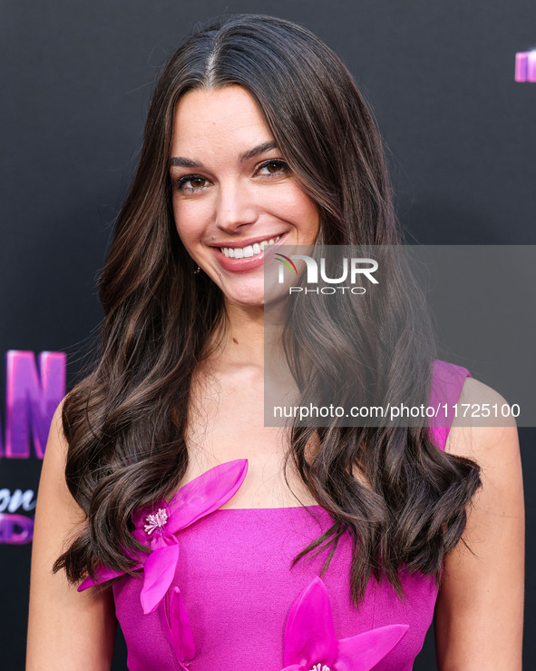 Ally Lewber arrives at the Los Angeles Premiere Of Amazon Prime Video's 'Megan Thee Stallion: In Her Words' held at the TCL Chinese Theatre...