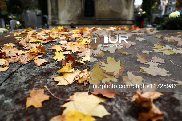 Autumns leaves are seen on the grave at the Rakowicki Cemetery a day ahead of the All Saints Day in Krakow, Poland on October 31, 2024. 