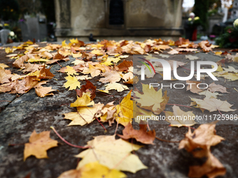 Autumns leaves are seen on the grave at the Rakowicki Cemetery a day ahead of the All Saints Day in Krakow, Poland on October 31, 2024. (