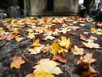 Autumns leaves are seen on the grave at the Rakowicki Cemetery a day ahead of the All Saints Day in Krakow, Poland on October 31, 2024. (