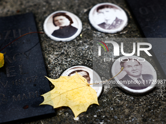 Autumns leaves are seen on the grave at the Rakowicki Cemetery a day ahead of the All Saints Day in Krakow, Poland on October 31, 2024. (